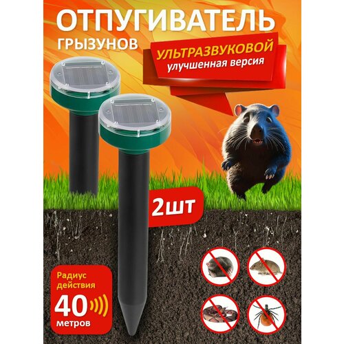 ������ ������ �������������� ������������ ���������� ������, �����, ��������, ���������, ����, ���� �� ��������� ��������, ����� 2 ��. ����