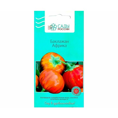 ������ ������ ��������� ������ 10�� (���� ������) ����