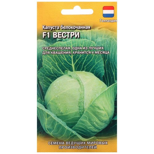 ������ ������ ������ ������ Seminis ������� ������������ ������ F1 10 ��. ����