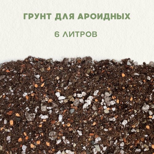 ������ ������ ����� ��� ��������, ��� ��������� ��������. ����� ��� ������ � ������. 6 ������ ����