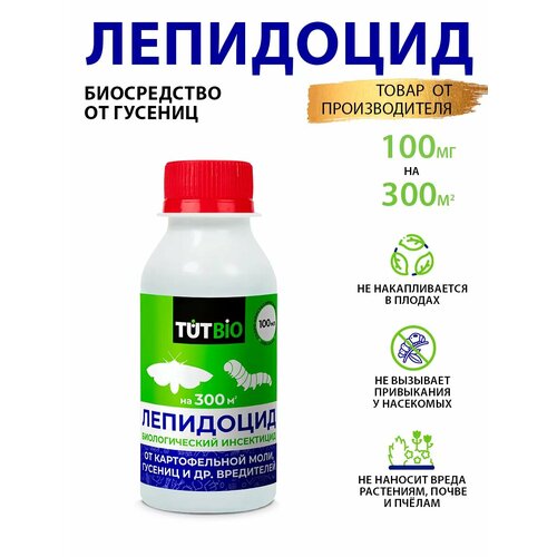 ������ ������ ��������� ���������, ������ �� ��������� 100 ��. 19268 ����