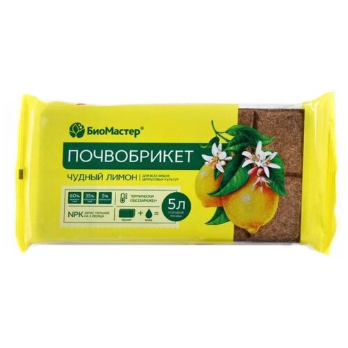 ������ ������ ����������� ��������� ������ ����� ����������, 5 �, 0.45 �� ����