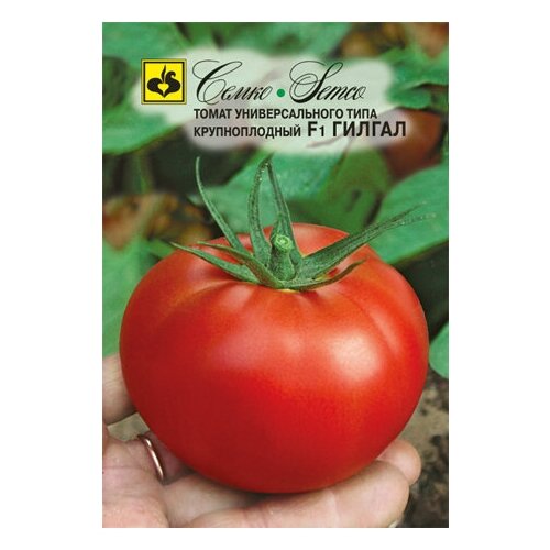 ������ ������ ������ ����� ������ F1, 5 ��, ����� ����