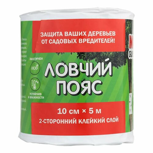 ������ ������ ������ ���� �� ������� ���������� NoGuest, ��� ��������, 5 �, ������ ����� 10 �� ����