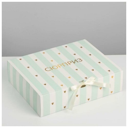 ������ ������ ������� ����������, ��������, ��������, 31 � 24.5 � 8 ��, ��� ����� ����