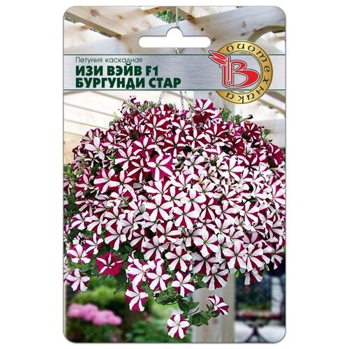 ������ ������ ������ ������� ��������� 