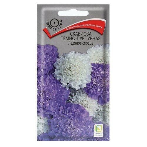 ������ ������ ������ �������� ����-��������� ������� ������ ���������� 10 ��. ����