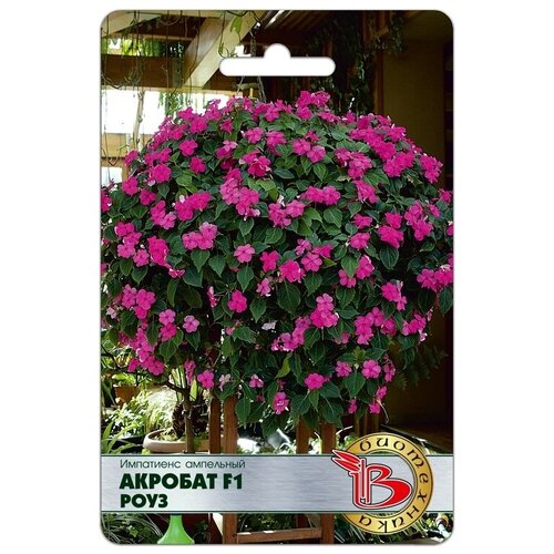 ������ ������ ������ ���������� (����������) ���������� 