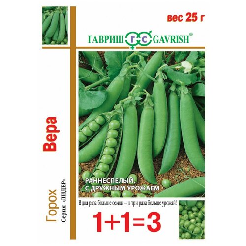 ������ ������ ������ ����� 1+1 