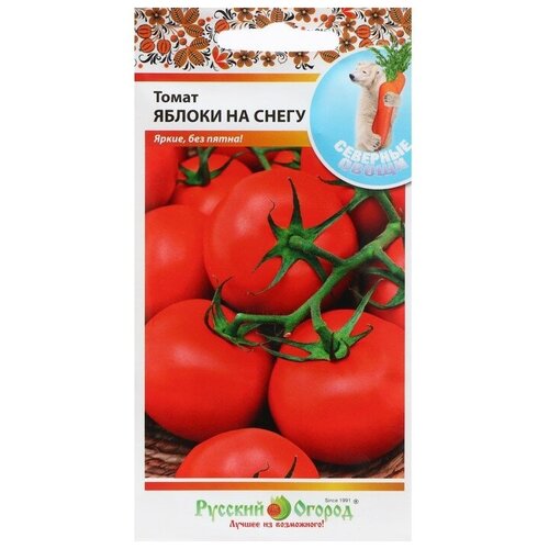 ������ ������ ������ ����� 