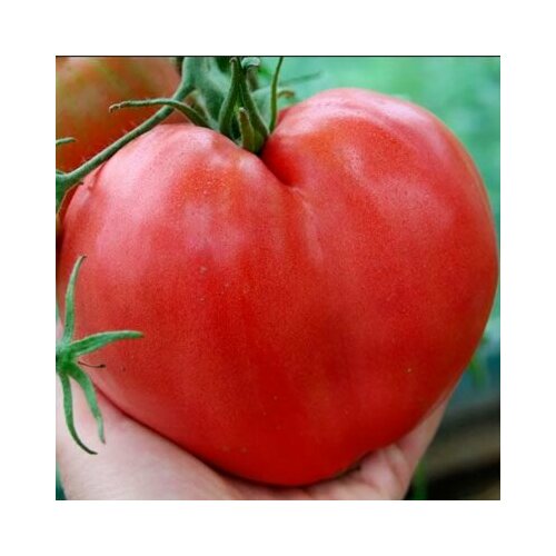 ������ ������ ������������� ������ ������ ����� ������ ����������� ������� ����