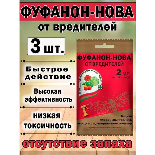 ������ ������ ���������� ������� ������ �������� �������-����, �� ���������, 2 �� ����