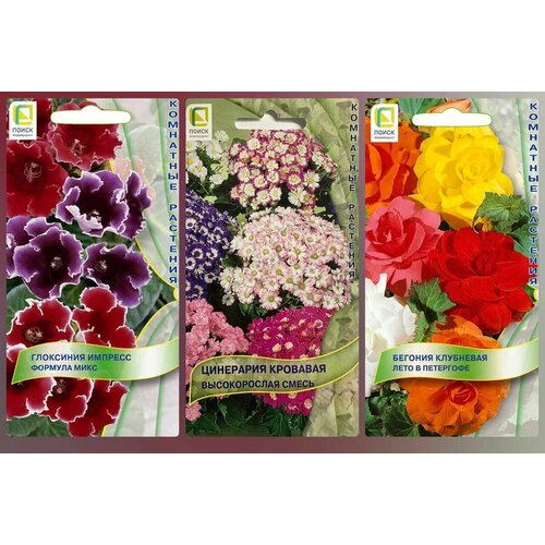 ������ ������ ������ ����������� ������ ��������� �������, ���������, ���������. ����� 3 �������� ����