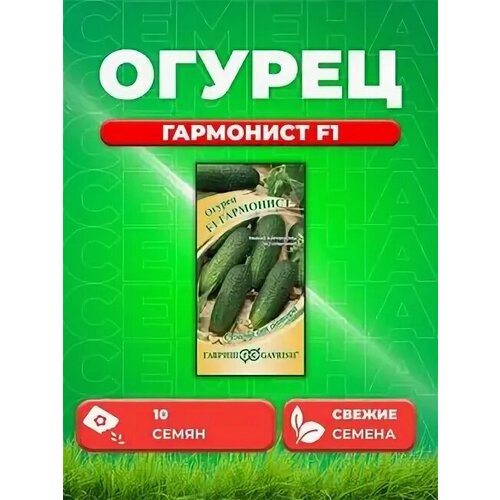 ������ ������ ������ ������� ��������� ������������� ��� ������ � ��������� ������. ����