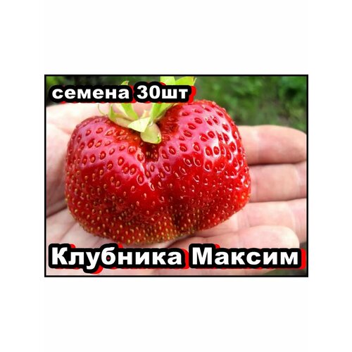 ������ ������ ������ �������� ������ 30�� ����