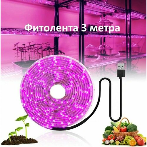 ������ ������ ��������� ��� ������� � �������� ������������ 3 ����� ����