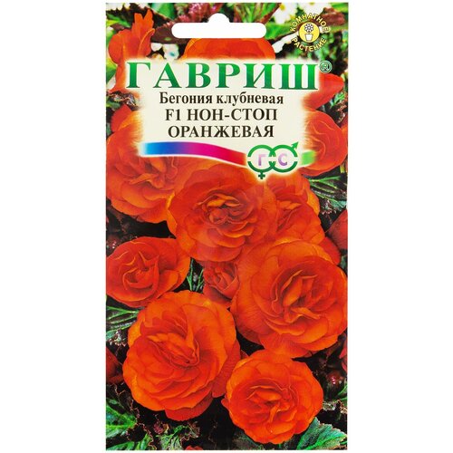 ������ ������ ������� ��������������� ���-���� ���������, 4 ��. ����