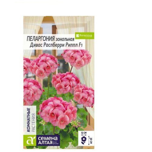 ������ ������ ������ ���������� ����� ��������� ����� ���������, 4�� ����� ����