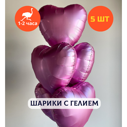 ������ ������ ������ ��������� �� ���� ��������, ��������� ���� � ������, ���� � ���� ��������, ����� ����� ��� ������� 