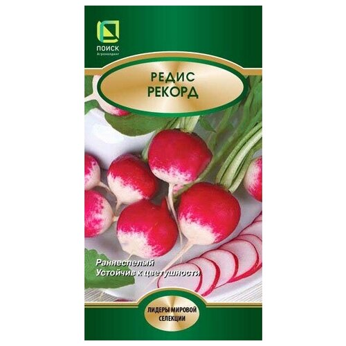 ������ ������ ����� ������ ����