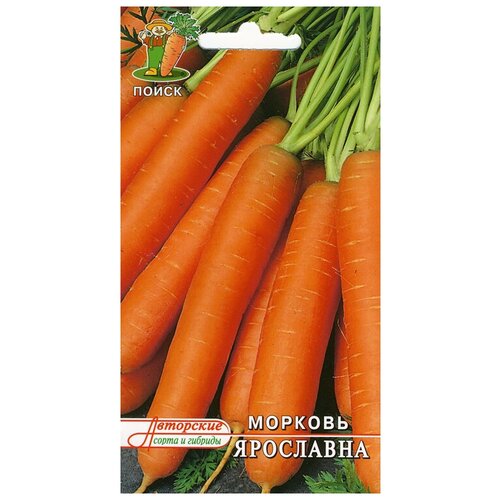 ������ ������ ������� ��������� ����