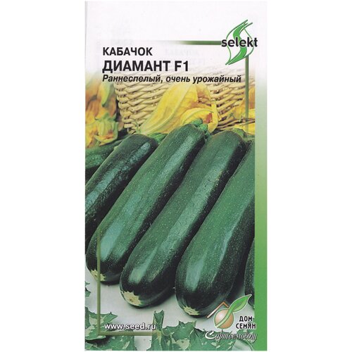 ������ ������ ������� ������� F1, 5 ����� ����