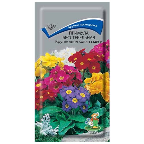 ������ ������ ������� ������������� ��������������� ����� ����