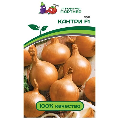 ������ ������ ������ ��� �������� ������� ������ F1 0,5 �� ����