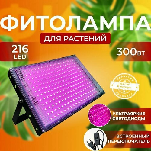 ������ ������ ��������� ��� ����������� �������� ������� ������ ������ �������������� ������������ ����� ��������� ��� ������, � �������� ����