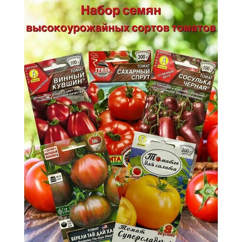 ������ ������ ������ ��������. ����� 5 �������� ������. ����� ��� ���� � �������. ����