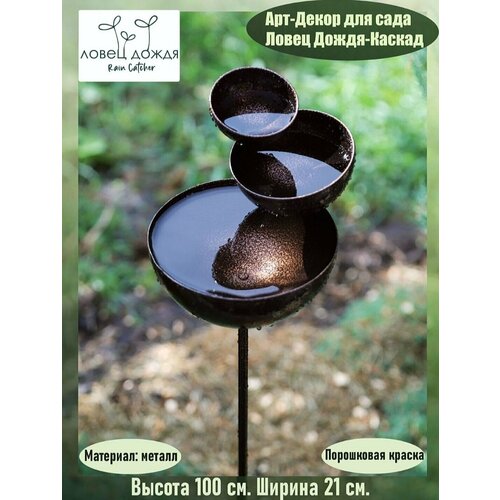 ������ ������ ������ ������� �������������, ���-����� ����� ����� 