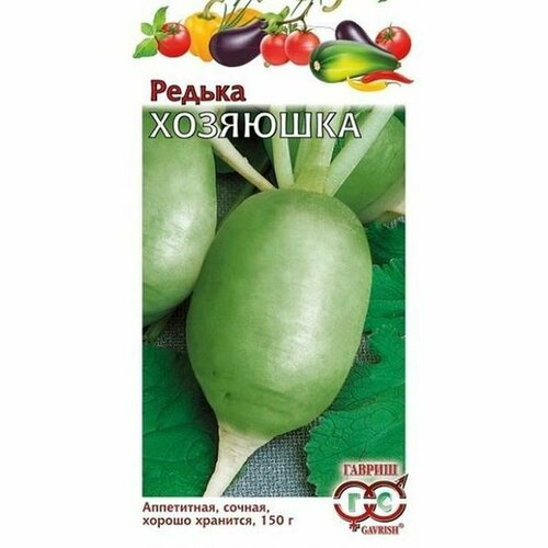 ������ ������ ������ ������ �������� (����), ������������, (������) 1� ����