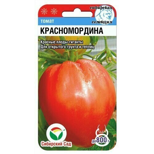 ������ ������ ������ ����� ������������� 20�� ��� (��������� ���) ����