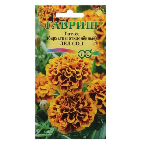 ������ ������ ������ ������ 