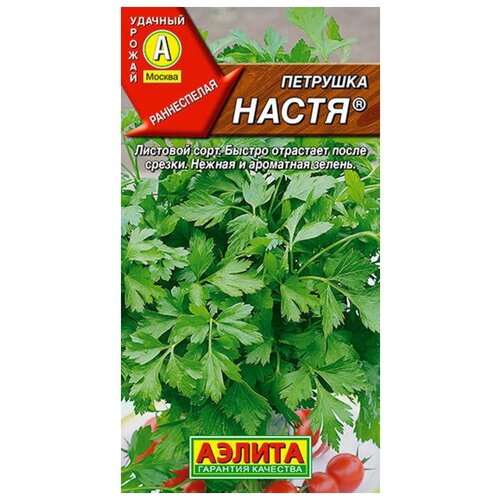 ������ ������ ������. �������� �������� 