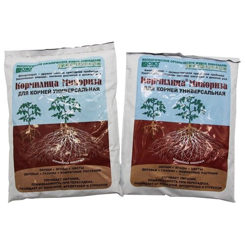 ������ ������ ��������� ��������, ������������� ���������������� �������� 1 �, �������� 2 ����� ����