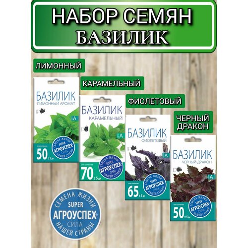 ������ ������ ������ ������ ��������� �������: �����������, ����������, ������ ������, �������� ������ ����