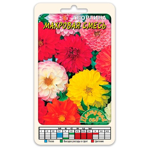 ������ ������ ������ �������� ��� 