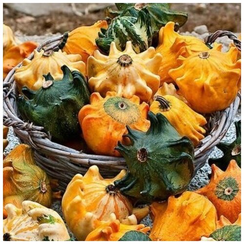 ������ ������ ������ ������ ����� ������������ ������ 5 ��. ����