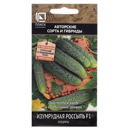 ������ ������ ������ ������ 