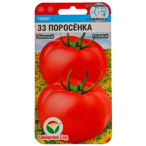 ������ ������ ������ ����� 