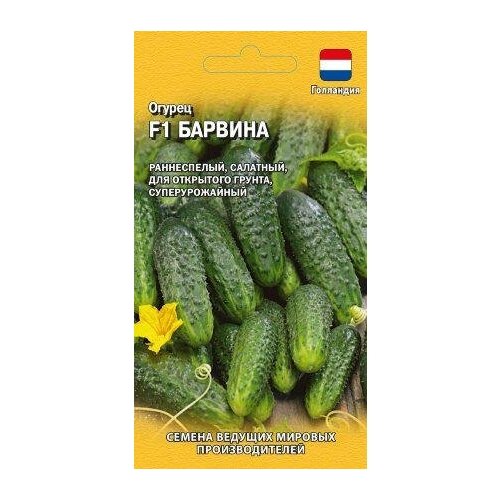 ������ ������ ������. ������ 