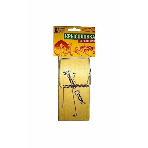 ������ ������ ���������� �������� ������ ����