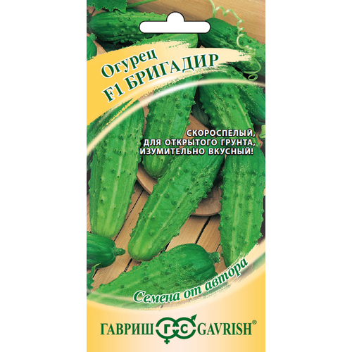 ������ ������ ������ ������ �������� F1 0,3� (������) ����� ����