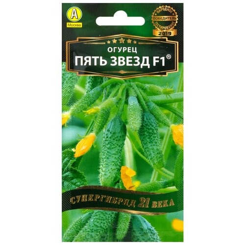 ������ ������ ������ ������ 