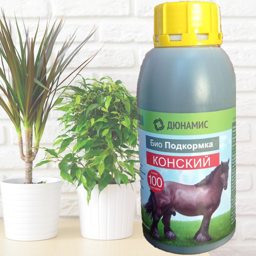 ������ ������ ������� ����� ������� Viva. ������ ����������. 0,5� ����