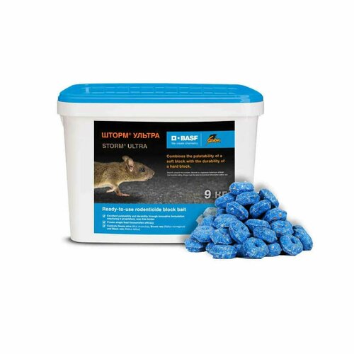 ������ ������ ����� ������ �� ���� � ����� , 9 �� ����