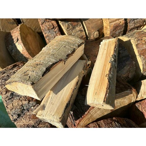 ������ ������ ����� �������� ������������ ��������� ������� 20 �� ����