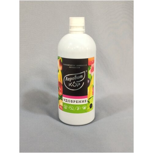 ������ ������ ��������� �������-���, ����� �, ������, 1� ������ ����