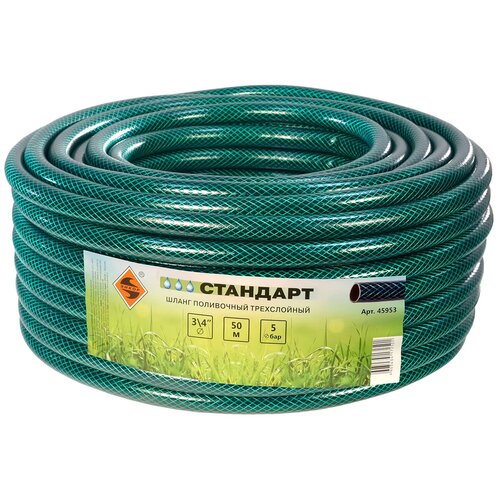 ������ ������ ����� 3/4